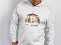 Load image into Gallery viewer, The Greatest Gift of All Matthew 1:21 hoodie product